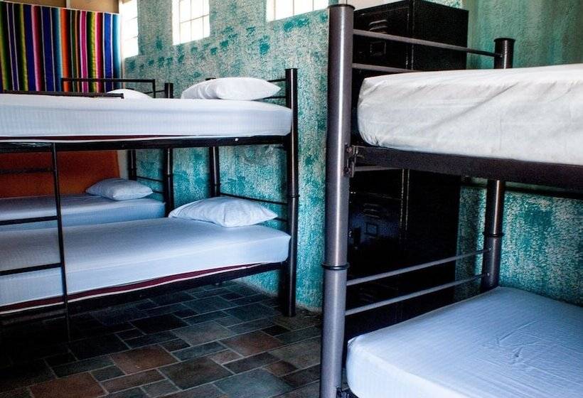 Hostel Enjoy Vallarta 19