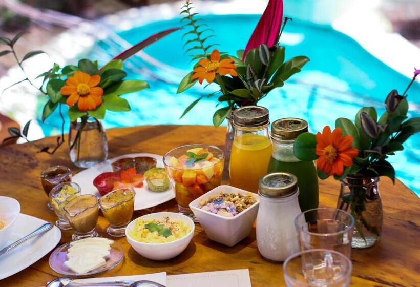 בית מלון כפרי Templo Do Ser