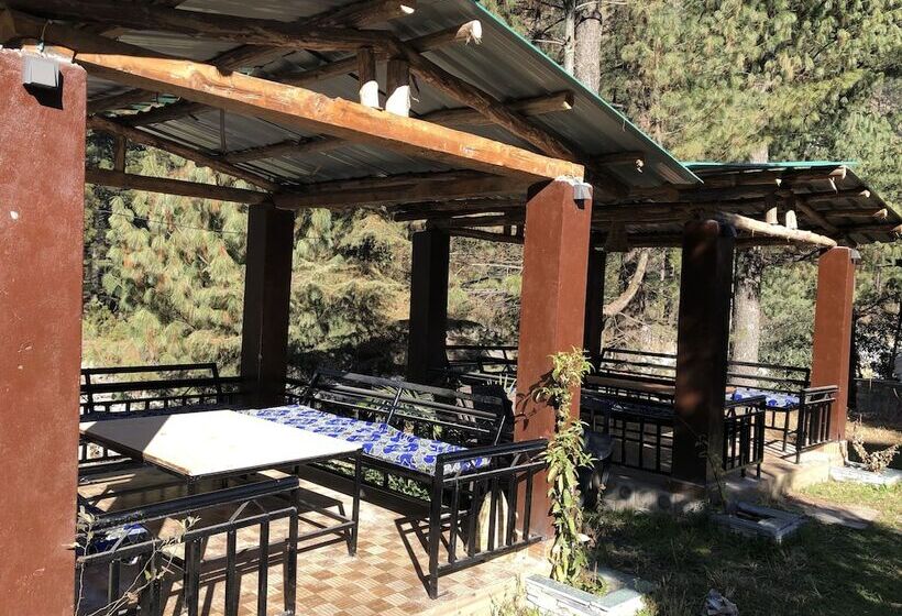 Moustache Kasol   Hostel