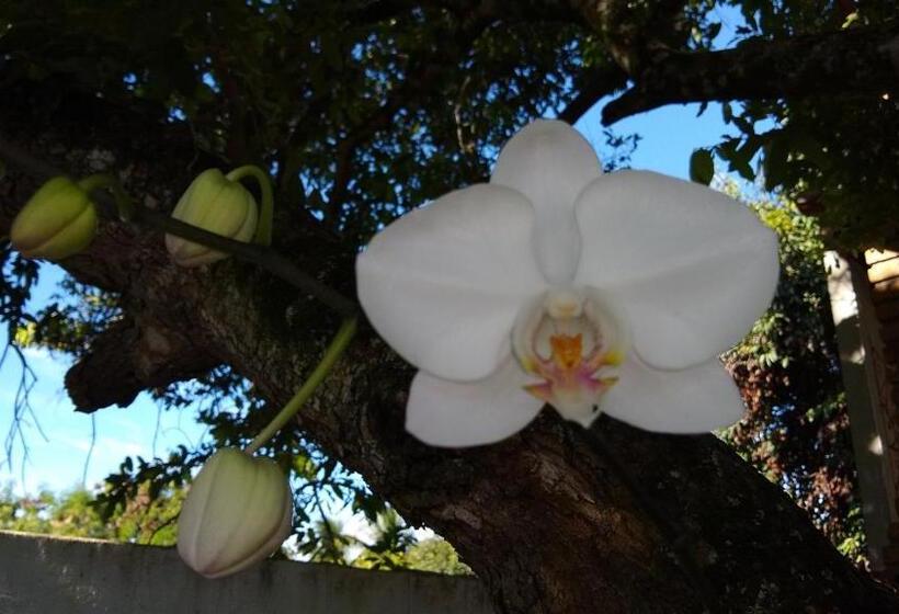 ペンション Club Manguaba Beira Rio Mar