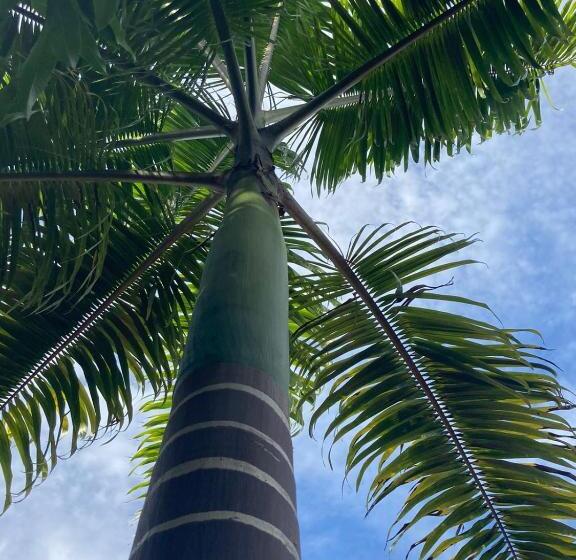 ペンション Club Manguaba Beira Rio Mar