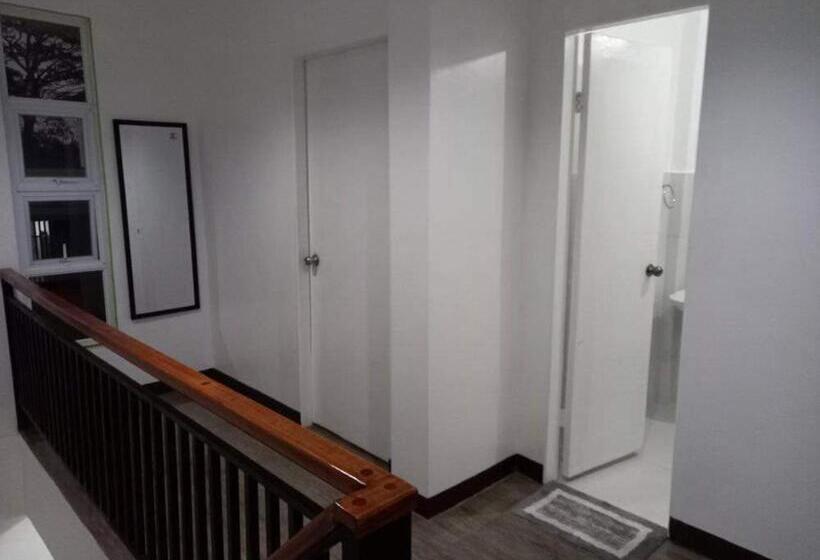 هاستل Nellie S Place