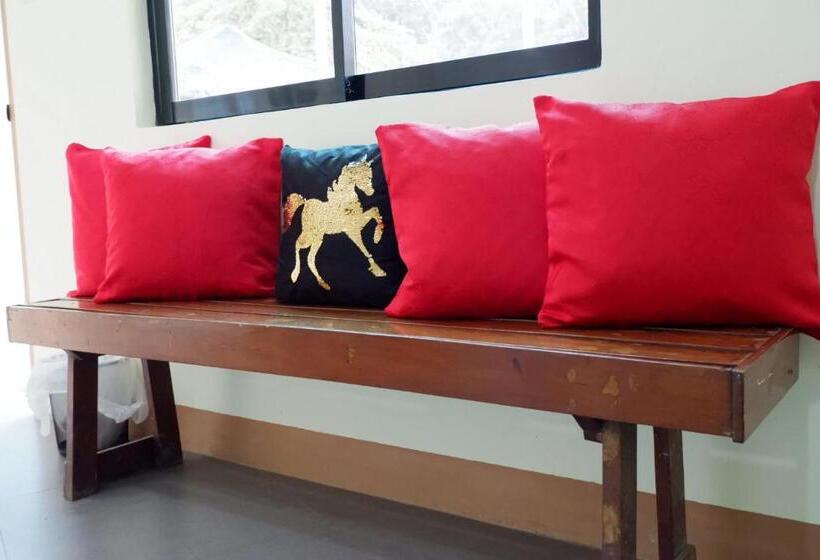 هاستل Nellie S Place