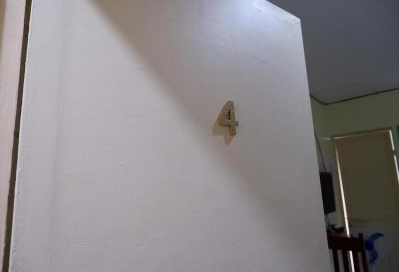 هاستل Nellie S Place