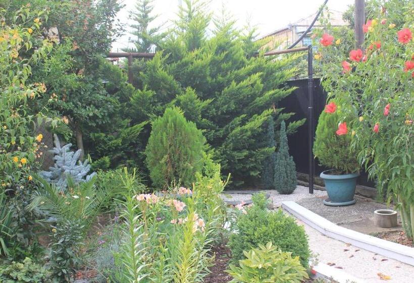 مبيت وإفطار Old City