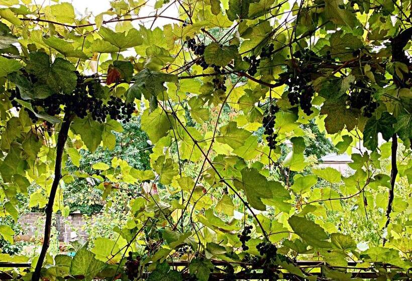 مبيت وإفطار Old City