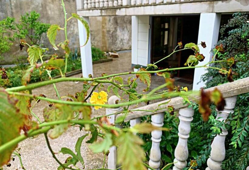 مبيت وإفطار Old City