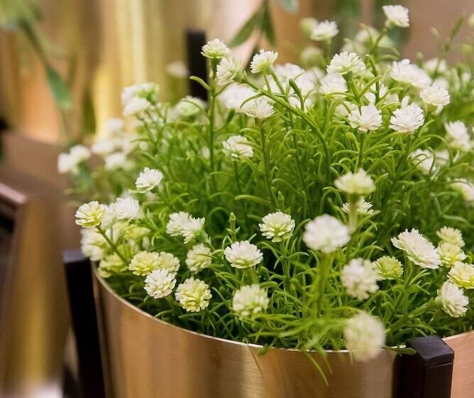 Amamas Boutique Hotel Kuching