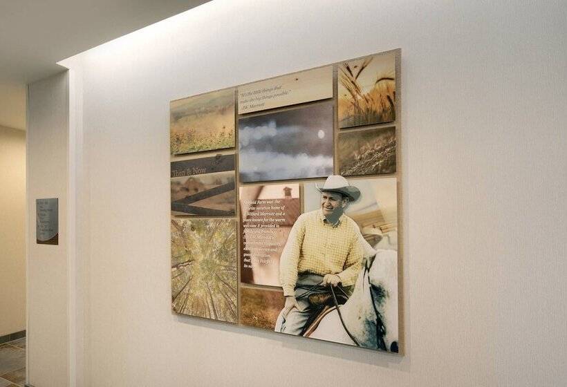 ホテル Fairfield Inn & Suites By Marriott Tampa Wesley Chapel