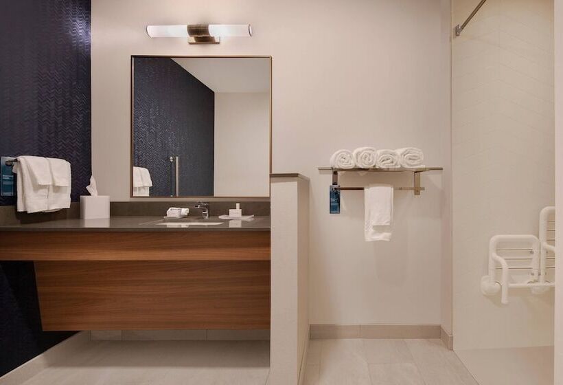 Отель Fairfield Inn & Suites By Marriott Tampa Wesley Chapel