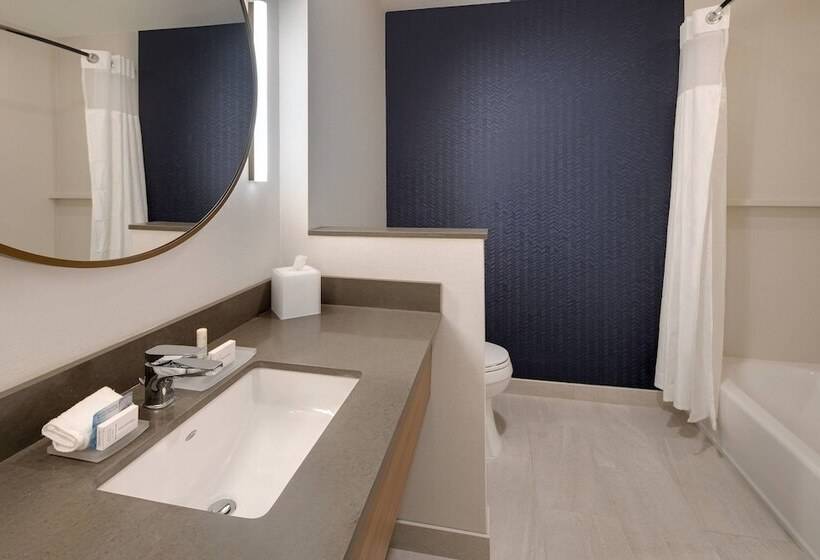 ホテル Fairfield Inn & Suites By Marriott Tampa Wesley Chapel