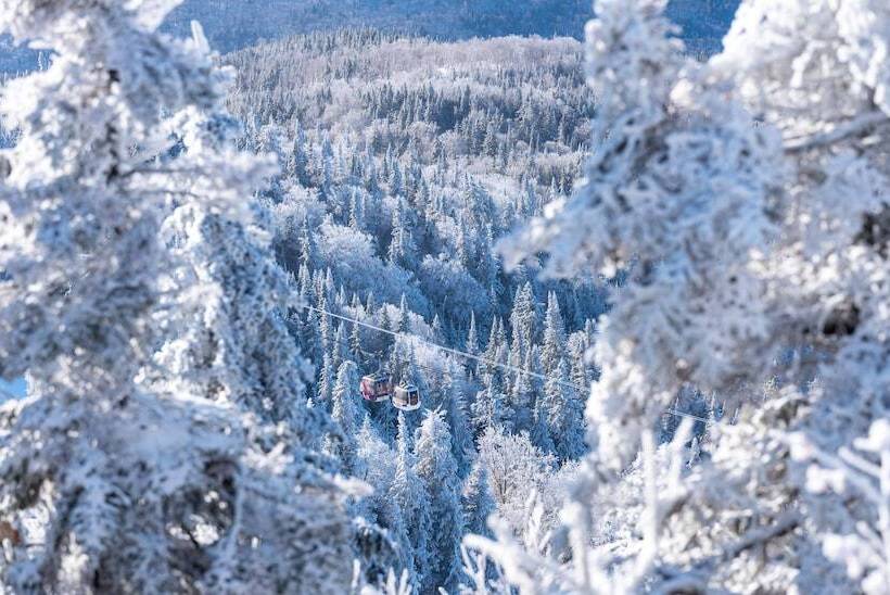 Microtel Inn & Suites By Wyndham Mont Tremblant