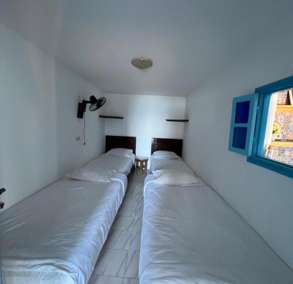 بنسيون Single Fin Beach House