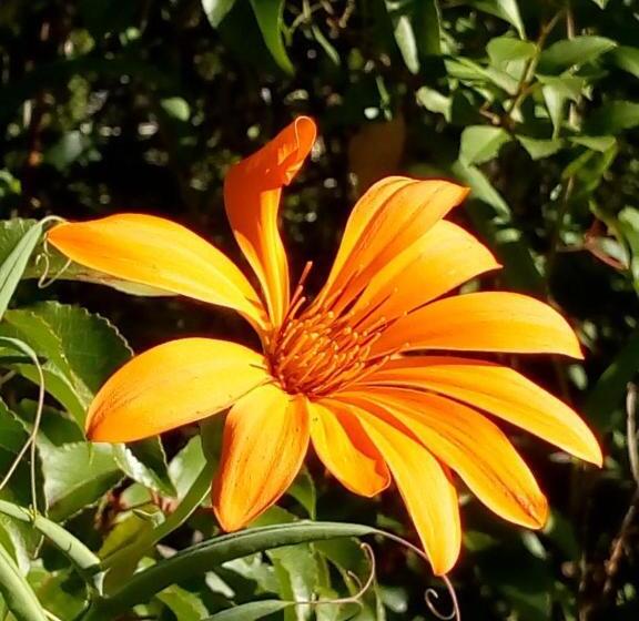 فندق صغير Hostería La Portada