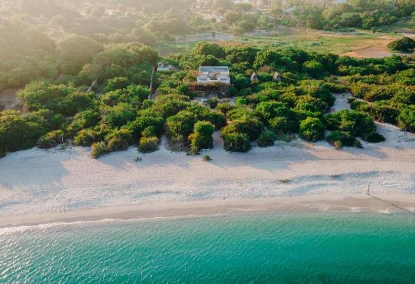 ユースホステル The Slow Leopard Kilwa