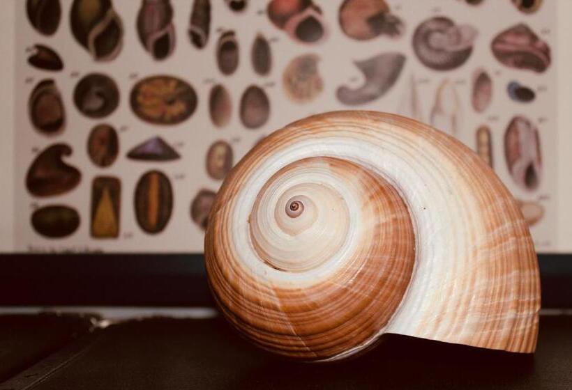 민박 Bellevue Gastgeberei