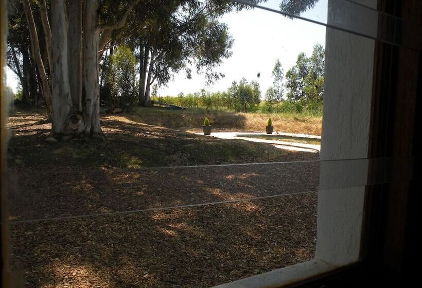 مبيت وإفطار Sebisa