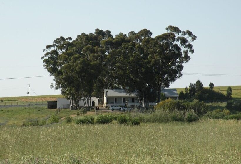 مبيت وإفطار Sebisa