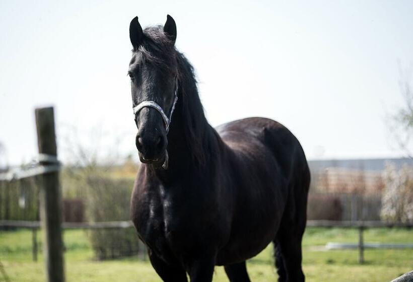 Fruitpark Hotel & Spa