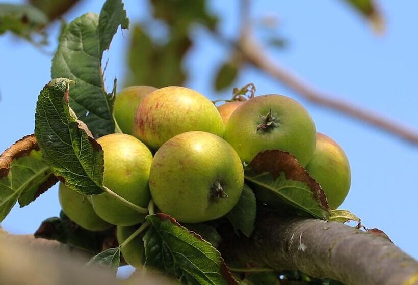 Fruitpark Hotel & Spa