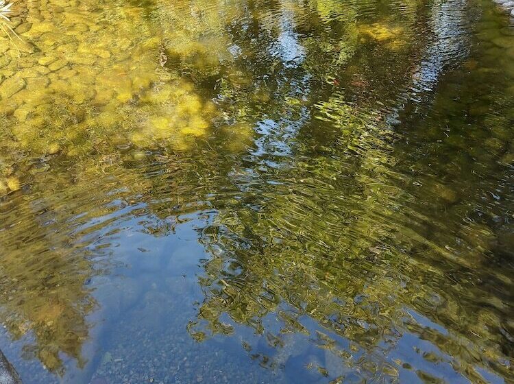 ホテル Bethlehem Centre