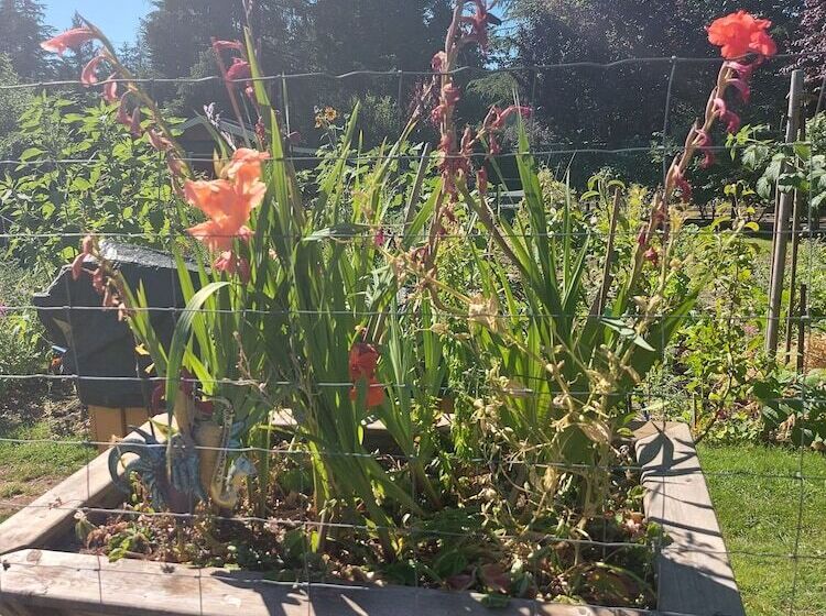 ホテル Bethlehem Centre