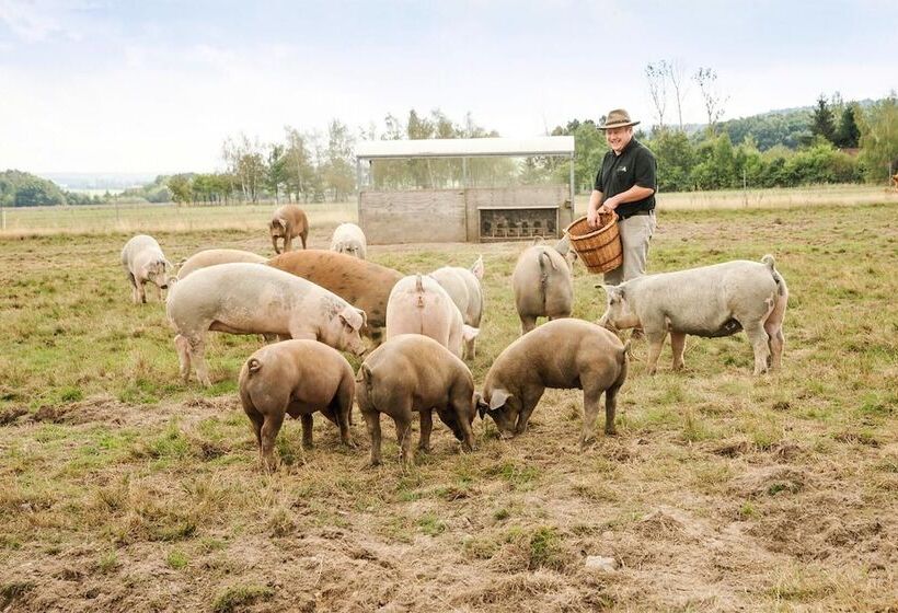 فندق Landgasthof Zur Tanne