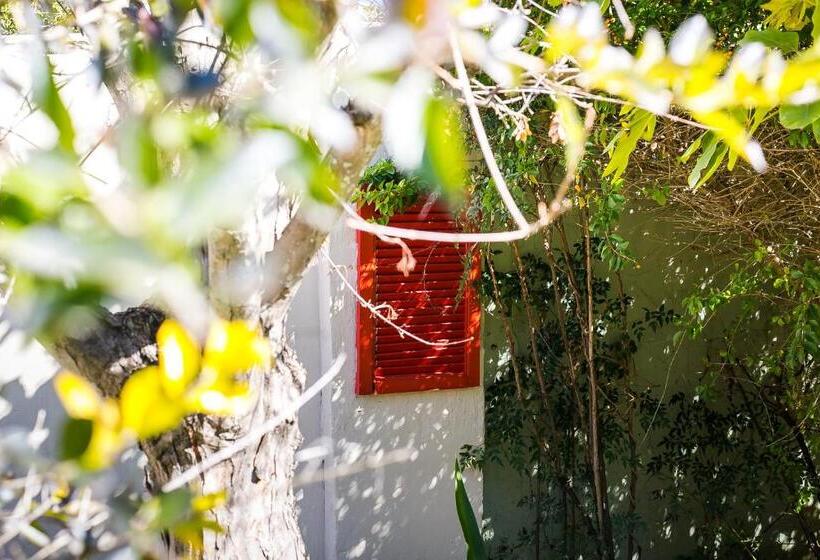 ペンション Dreamers Guesthouse   No Loadshedding