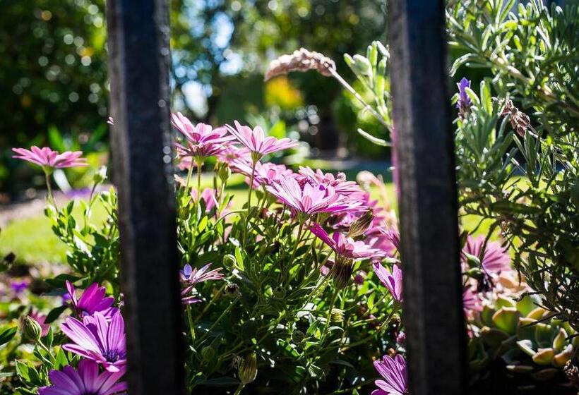 ペンション Dreamers Guesthouse   No Loadshedding