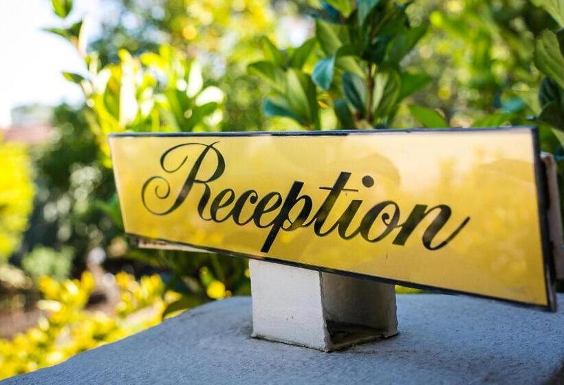 ペンション Dreamers Guesthouse   No Loadshedding