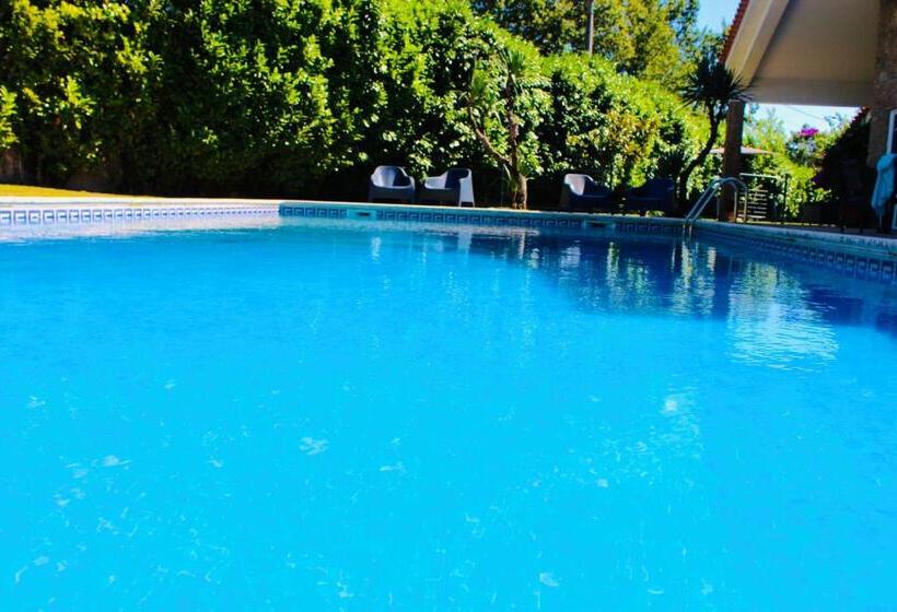 פנסיון The Oak´s Wolf Country House