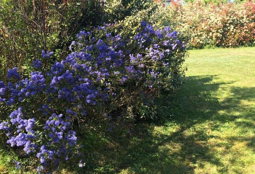 Bed and Breakfast La Villa Bolero