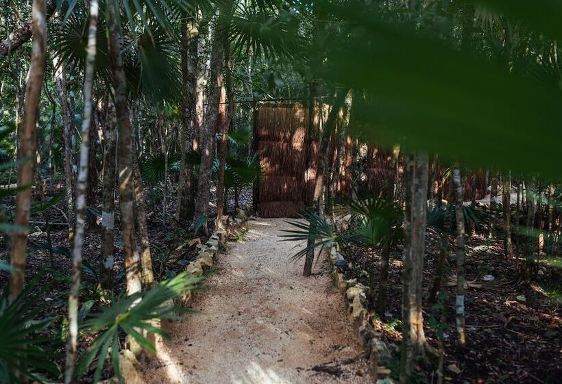 호텔 Ajal Tulum Tree House