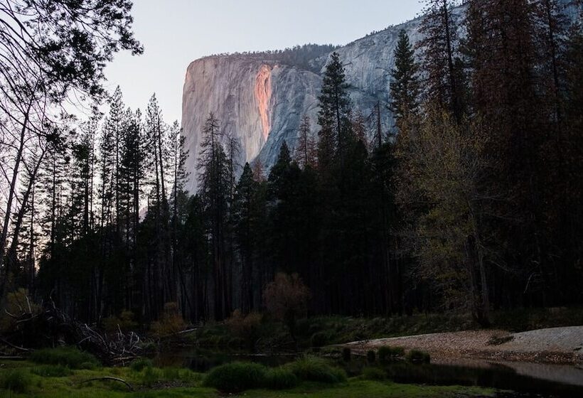 בית מלון כפרי Autocamp Yosemite