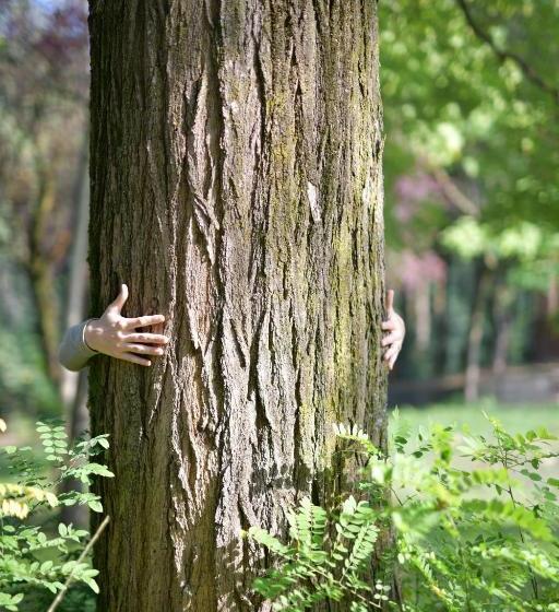 호텔 Il Convento Di Villa San Fermo