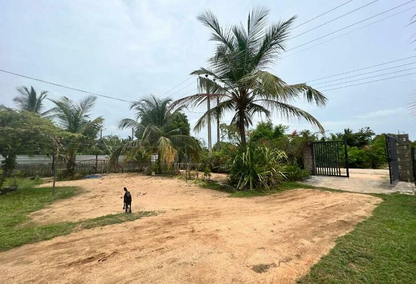 بنسيون Aiden Homestay