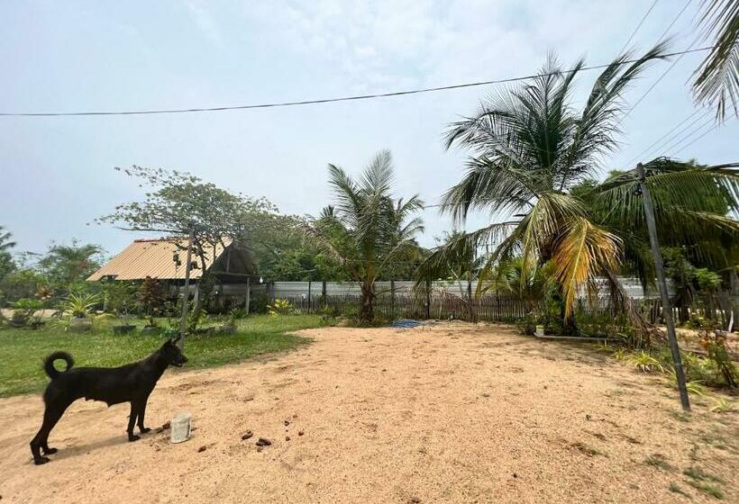 بنسيون Aiden Homestay