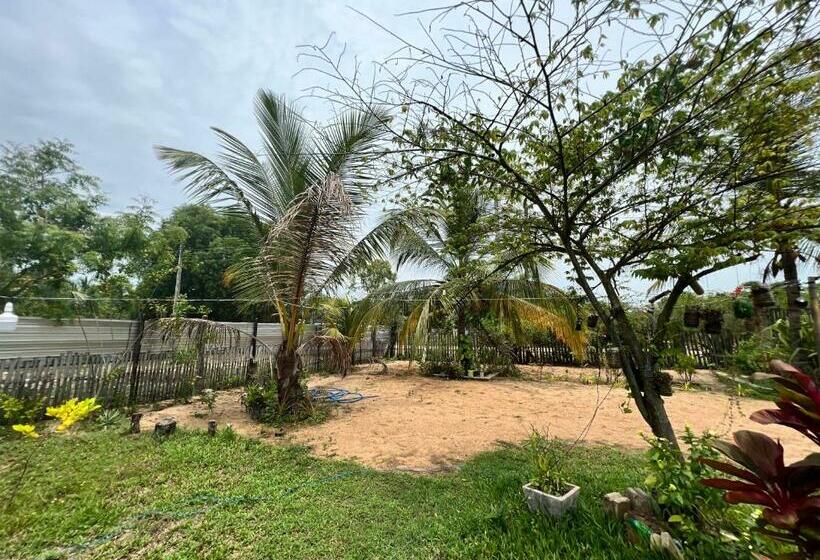 بنسيون Aiden Homestay