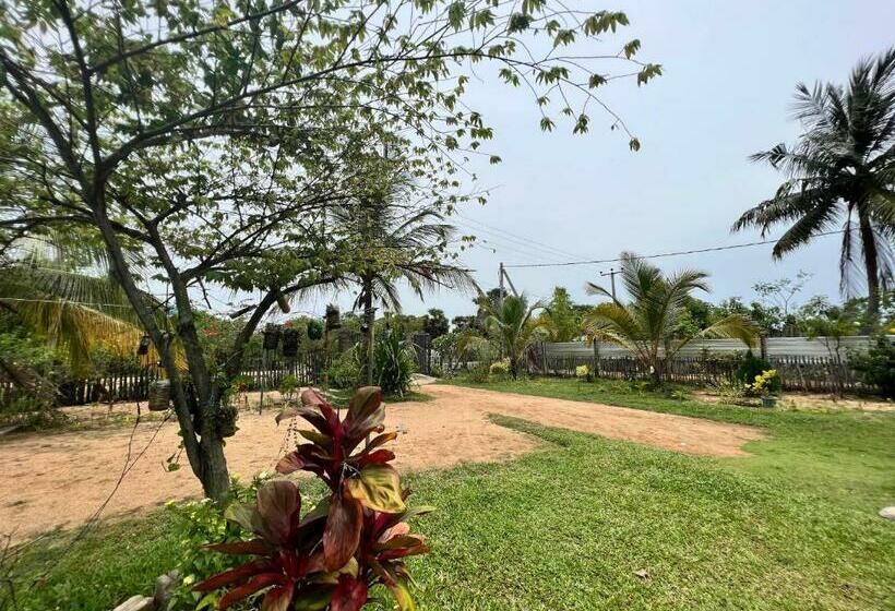 بنسيون Aiden Homestay