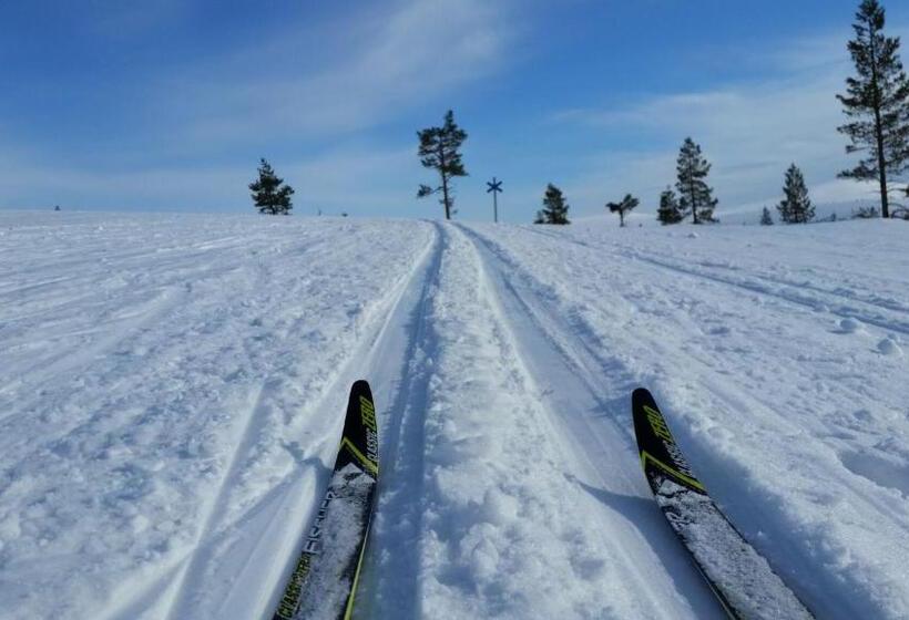 אתר נופש Northern Lights Village Levi