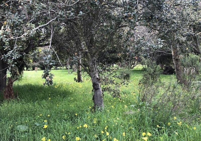 ユースホステル Casa Del Sol