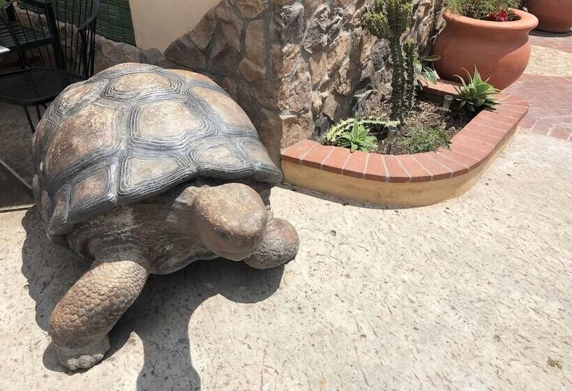 ユースホステル Casa Del Sol