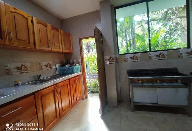 ユースホステル Hostal El Eden De Mindo