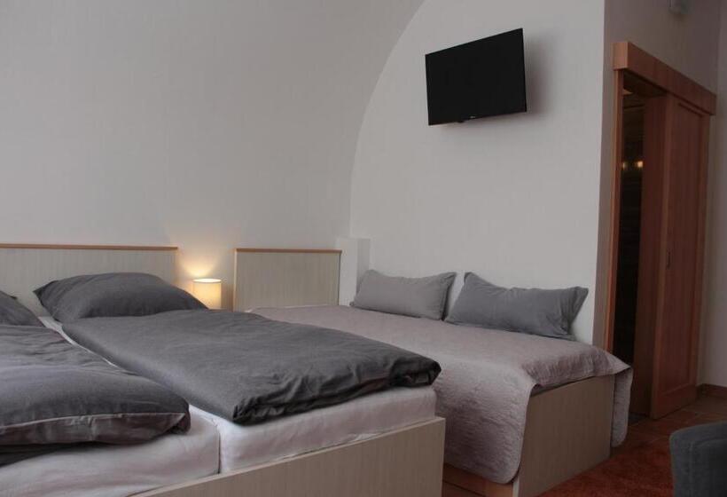 Общежитие Penzion U Pidly