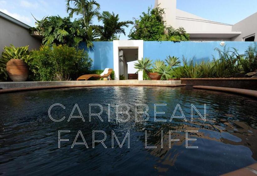 تختخواب و صبحانه 4 Casitas