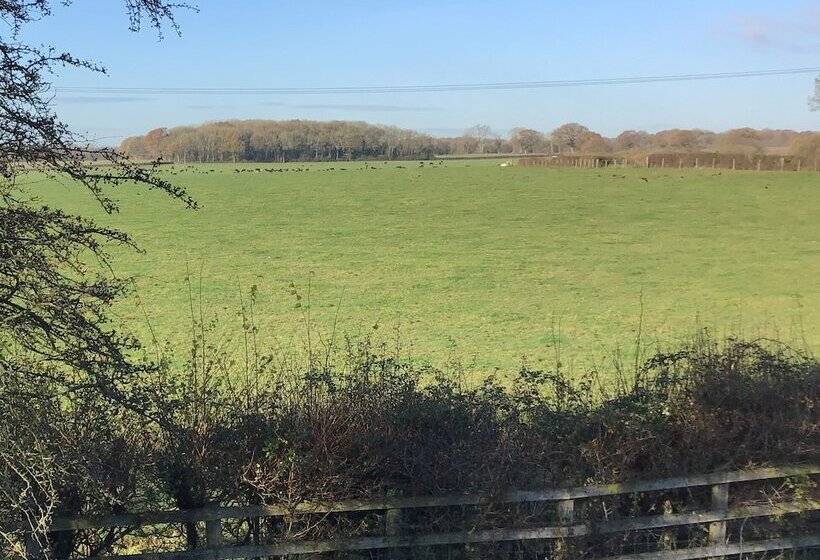 ベッドアンドブレックファースト Dog & Crook Braishfield