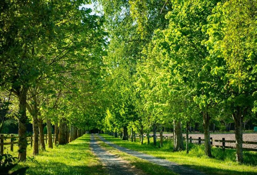 مبيت وإفطار River Road Retreat