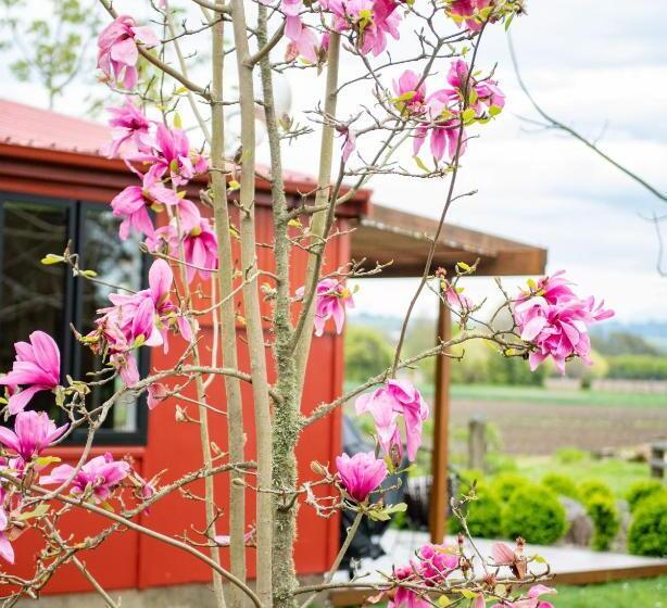 مبيت وإفطار River Road Retreat