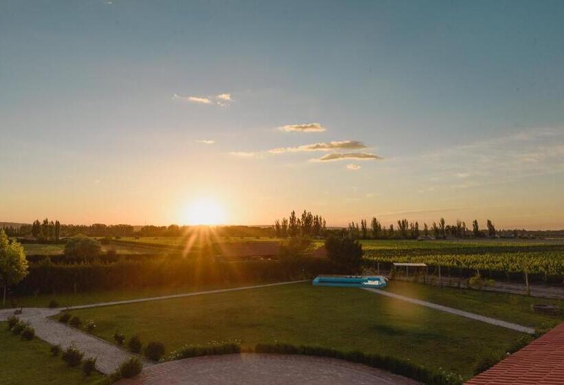 تختخواب و صبحانه Villa Trinidad Guesthouse