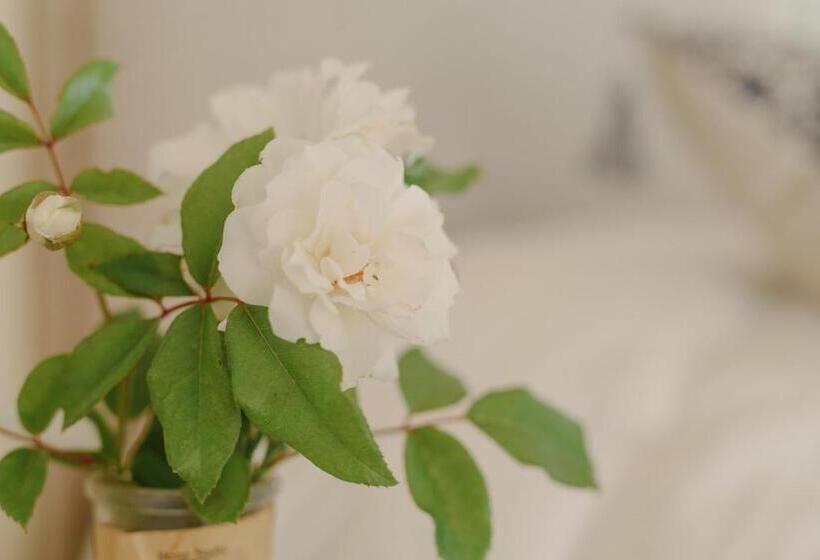 تختخواب و صبحانه Villa Trinidad Guesthouse